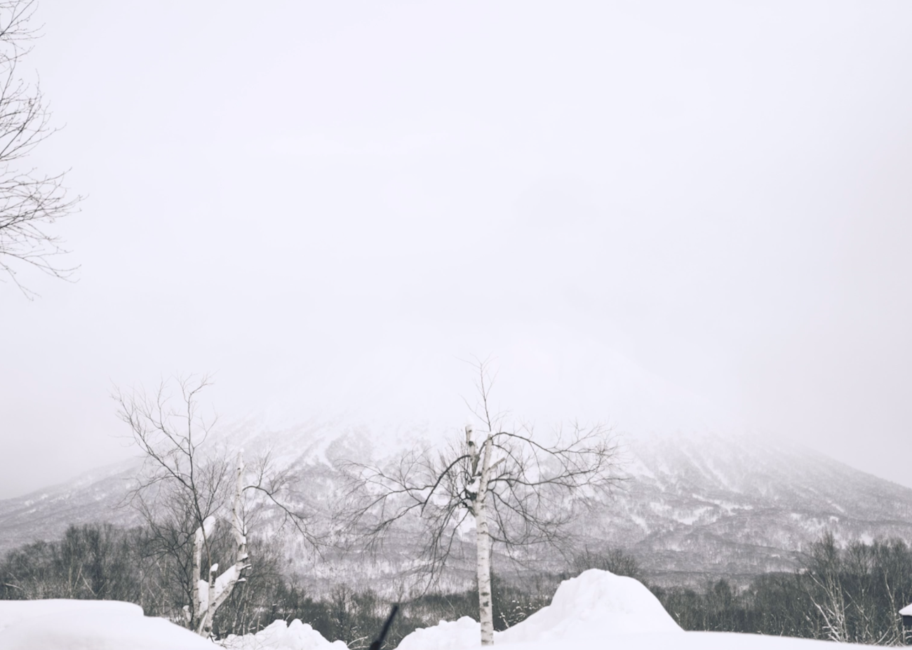 HANAH Rituals: Taro Tamai snowsurfing in Niseko