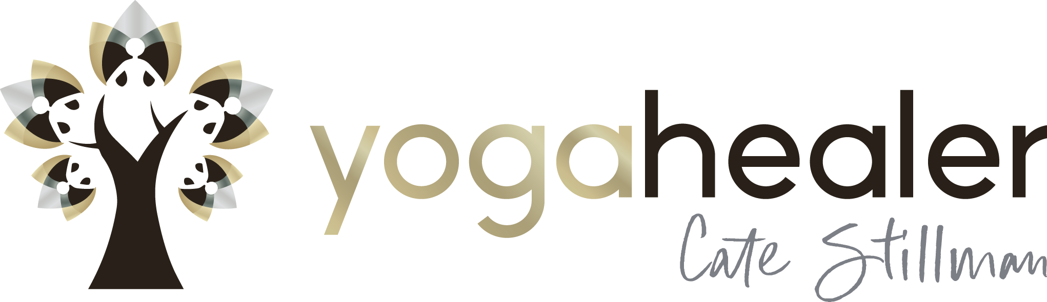 YogaHealer: Ancient Ayurvedic Superfoods For Biohackers, Ultra Athletes And Yogis With Joel Einhorn