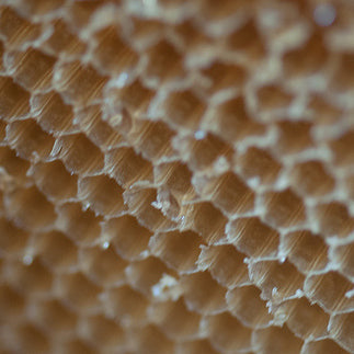 Close up of honeycombs