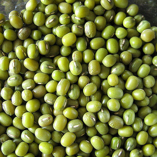 Close up of a pile of mung beans